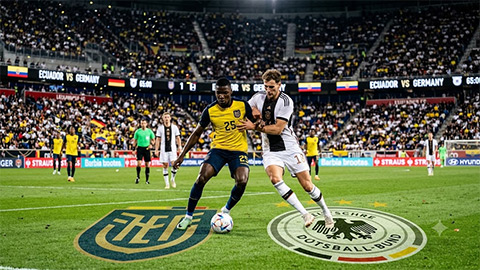 Ecuador vs Đức: Cập nhật những thông tin mới nhất