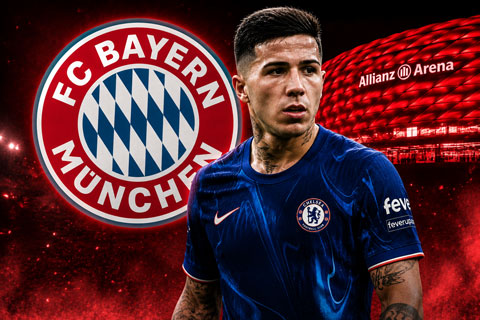 Bayern cũng muốn có Enzo