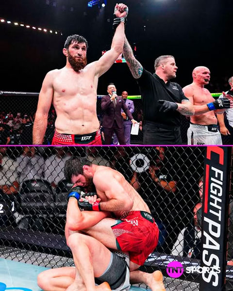 Magomed Ankalaev thắng Bogdan Guskov bằng TKO