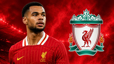 Liverpool sẵn sàng bán Gakpo