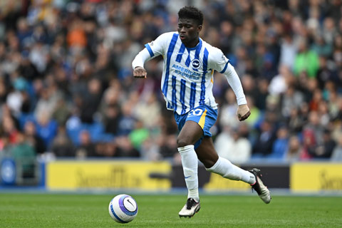 Baleba đã chứng minh được năng lực tại Brighton
