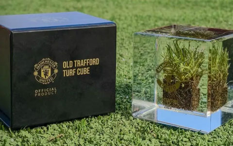 MU phải bán từng mảng cỏ để lấy tiền trả nợ - Ảnh: Manchester United