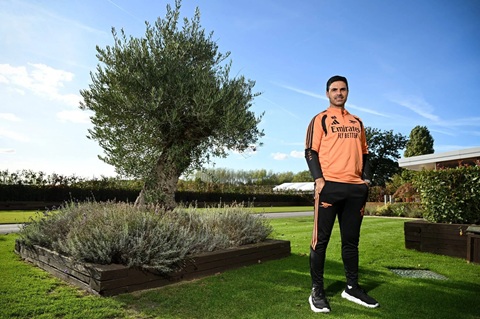 Mikel Arteta đã mang cây ô liu 140 năm tuổi đến sân tập của Arsenal