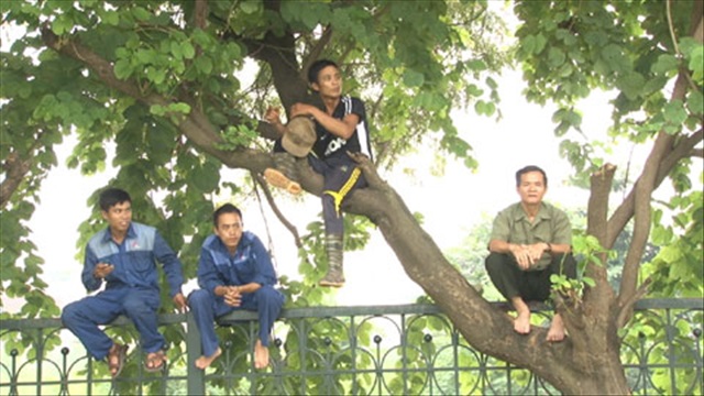 CĐV... trèo cây xem U19 Việt Nam tập luyện