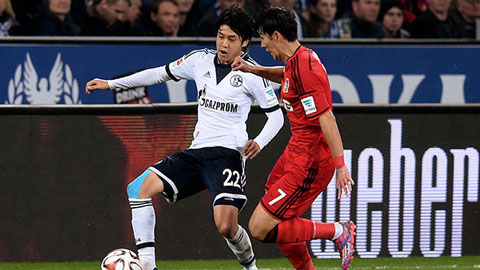 Leverkusen 1-0 Schalke 04 (Vòng 9 Bundesliga 2014/15)