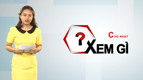 Chủ Nhật xem gì?