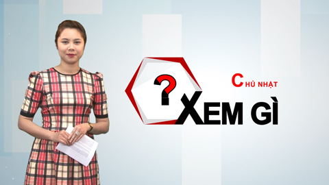 Chủ Nhật xem gì? 