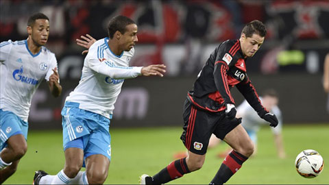 Leverkusen 1-1 Schalke 04 (Vòng 14 Bundesliga 2015/16)