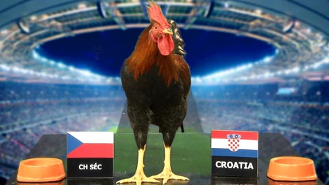 Gà Tài dự đoán trận CH Czech- Croatia