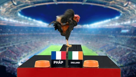 Gà Tài dự đoán vòng 1/8: Pháp - CH Ireland