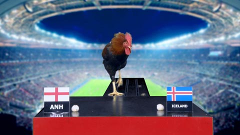 Gà Tài dự đoán vòng 1/8: Anh - Iceland