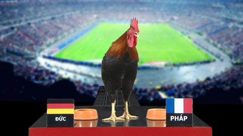 Gà Tài dự đoán trận bán kết 2: Đức - Pháp