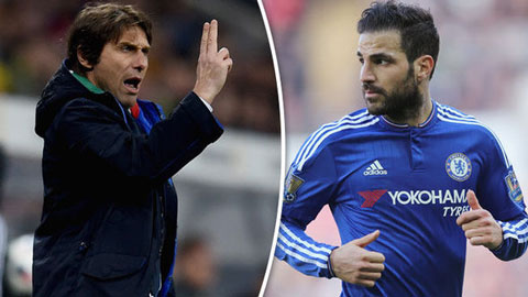 Conte có thực sự bỏ rơi Fabregas?