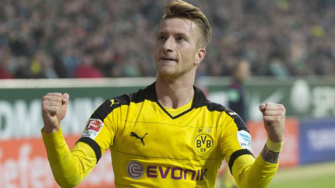 Ngôi sao của Dortmund: Marco Reus