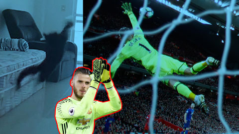 De Gea bay người cản phá xuất thần giống như chú mèo