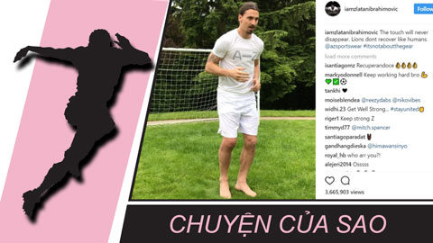 Chuyện của sao 1/6: Tập luyện trở lại, Ibrahimovic  ví mình như sư tử