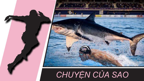 Chuyện của sao 25/7: Michael Phelps bị chỉ trích dữ dội vì thi bơi với cá mập giả