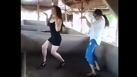 Hai hotgirl quẩy cực sung trong chuồng lợn