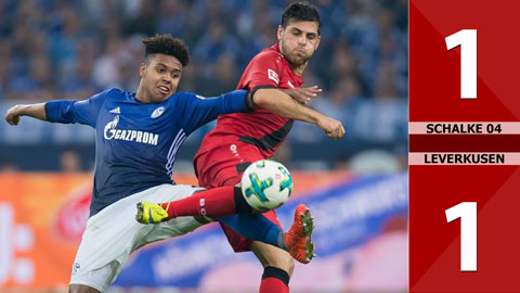 Schalke 1-1 Leverkusen