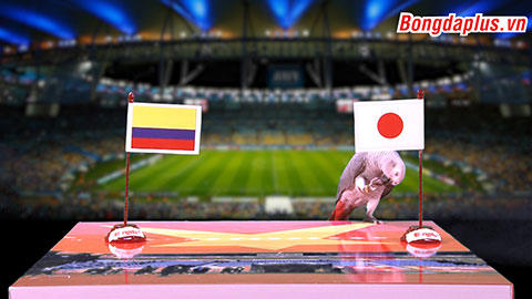 Vẹt Natasha dự đoán trận Colombia vs Nhật Bản 