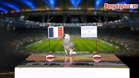 Vẹt Natasha dự đoán trận Pháp - Argentina 