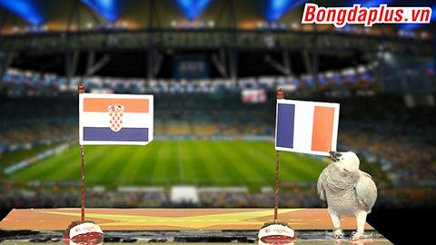 Vẹt Natasha dự đoán trận chung kết Pháp - Croatia 