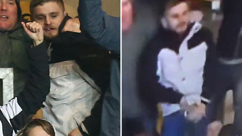 Fan Newcastle ăn mừng phản cảm trên khán đài