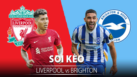 TỶ LỆ và dự đoán kết quả Liverpool vs Brighton
