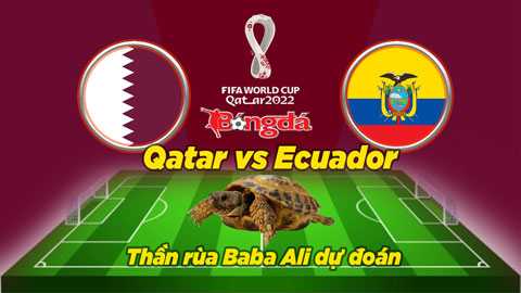 Thần rùa dự đoán trận khai mạc World Cup giữa Qatar vs Ecuador