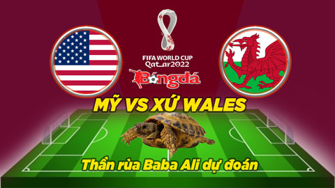 Thần rùa dự đoán 21/11: Mỹ vs Xứ Wales