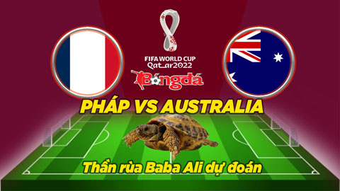 Thần rùa dự đoán 22/11: Pháp vs Australia