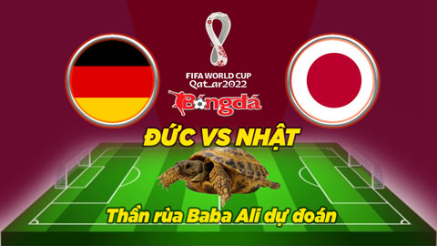 Thần rùa dự đoán 23/11: Đức vs Nhật Bản