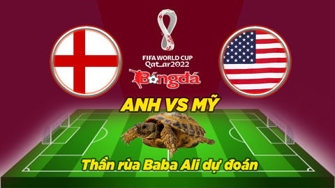 Thần rùa dự đoán 25/11: Anh vs Mỹ