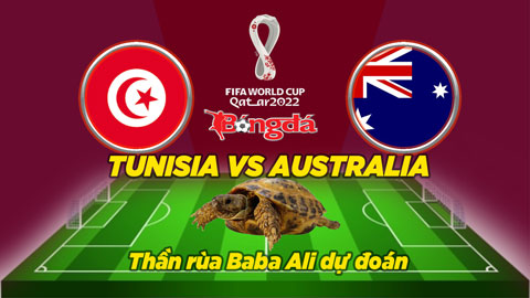 Thần rùa dự đoán 26/11: Tunisia vs Australia