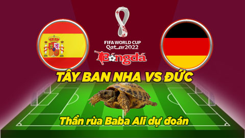 Thần rùa dự đoán 27/11: Tây Ban Nha vs Đức