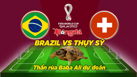 Thần rùa dự đoán 28/11: Brazil vs Thụy Sỹ