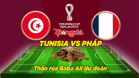 Thần rùa dự đoán 30/11: Tunisia vs Pháp và Đan Mạch vs Australia