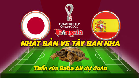 Thần rùa dự đoán 1/12: Nhật Bản vs Tây Ban Nha và Costa Rica vs Đức