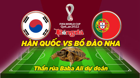 Thần rùa dự đoán 2/12: Hàn Quốc vs Bồ Đào Nha và Ghana vs Uruguay