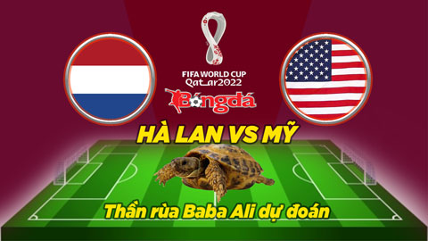 Thần rùa dự đoán 3/12: Hà Lan vs Mỹ