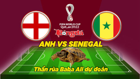 Thần rùa dự đoán 4/12: Anh vs Senegal