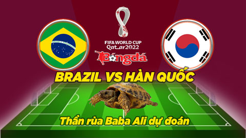 Thần rùa dự đoán 5/12: Brazil vs Hàn Quốc