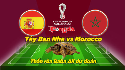 Thần rùa dự đoán 6/12: Tây Ban Nha vs Morocco