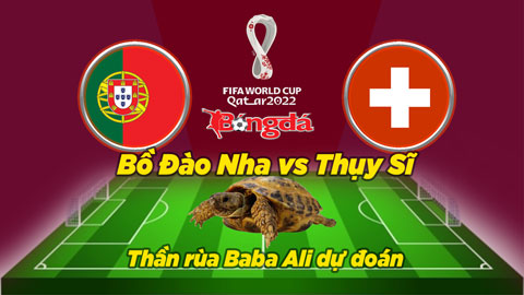 Thần rùa dự đoán 6/12: Bồ Đào Nha vs Thụy Sỹ