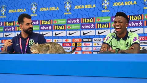 Vinicius cười phá lên khi mèo 'phá đám' họp báo của tuyển Brazil