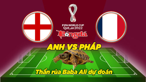 Thần rùa dự đoán 10/12: Anh vs Pháp