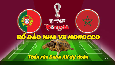 Thần rùa dự đoán 10/12: Bồ Đào Nha vs Morocco