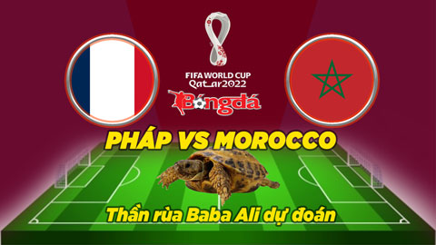 Thần rùa dự đoán 14/12: Pháp vs Morocco