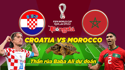 Thần rùa dự đoán 17/12: Croatia vs Morocco
