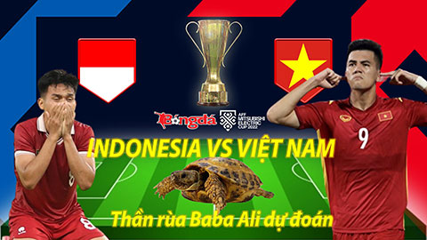 Thần rùa dự đoán AFF Cup 2022: Indonesia vs Việt Nam